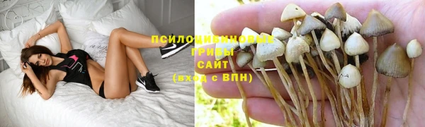 мескалин Алзамай