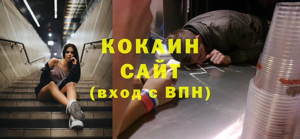 кокс Алексин