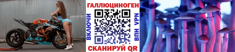 Псилоцибиновые грибы прущие грибы цены наркотик даркнет как зайти Грязовец
